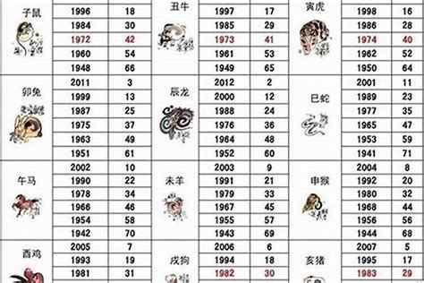 屬狗生肖|生肖狗性格優缺點、運勢深度分析、年份、配對指南